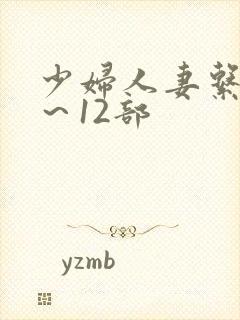 少妇人妻系列1~12部