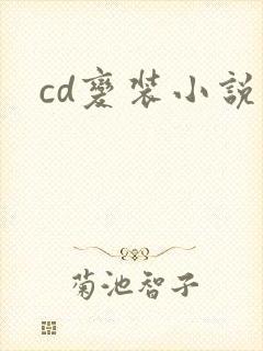 cd变装小说