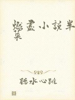 燃尽小说半截白菜