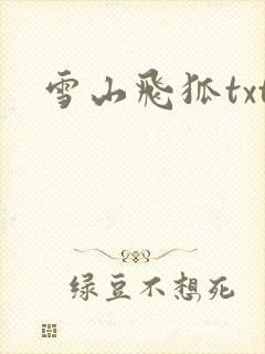 雪山飞狐txt