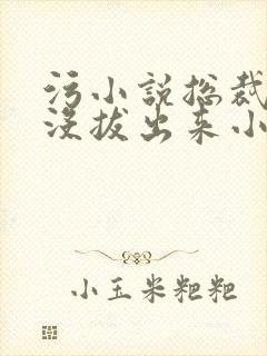 污小说总裁整夜没拔出来小说在线阅读