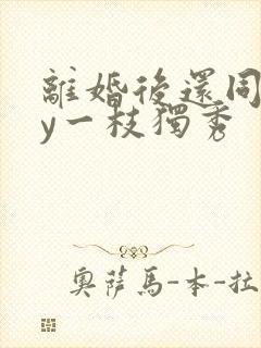 离婚后还同居by一枝独秀封面