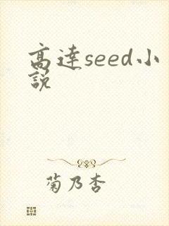 高达seed小说