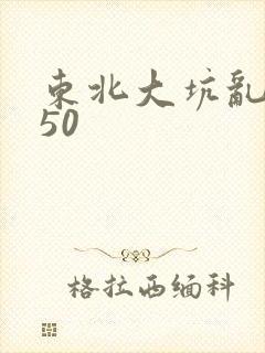东北大坑乱1—50