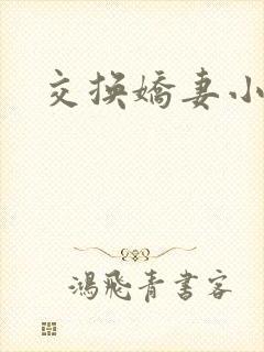 交换娇妻小说封面