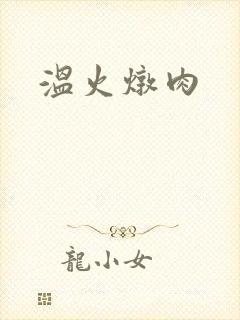温火炖肉