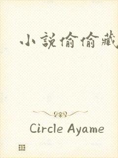 小说偷偷藏不住封面