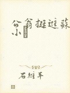 公翁挺进苏玥的小泬