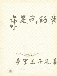 你是我的荣耀番外封面