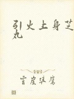 引火上身芝麻糖丸