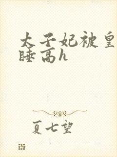 太子妃被皇上强睡高h