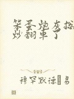 笨蛋炮灰总被爆炒翻车了