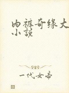 内裤奇缘大团结小说封面