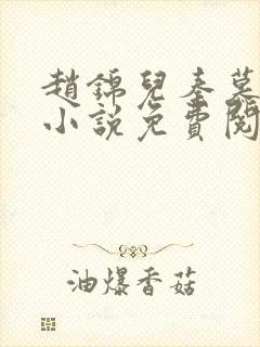 赵锦儿秦慕修的小说免费阅读全文