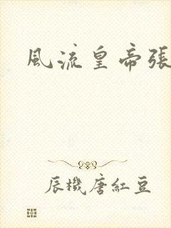 风流皇帝张无忌