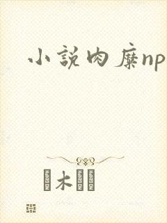 小说肉糜np