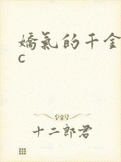 娇气的千金npc封面