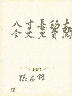 八寸长的大宝贝全文免费阅读封面