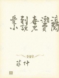 爱到春潮滚滚来小说免费阅读