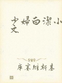 少妇白洁小说全文