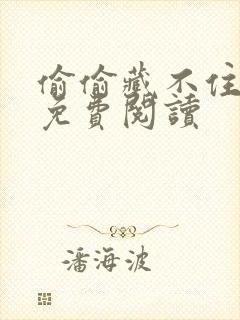 偷偷藏不住小说免费阅读