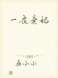 一夜弃妃封面