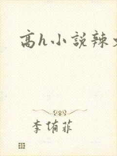 高h小说辣文封面