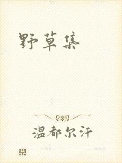 野草集封面