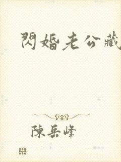 闪婚老公藏不住封面