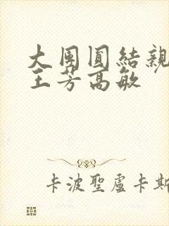 大团圆结亲情会王芳高敏封面