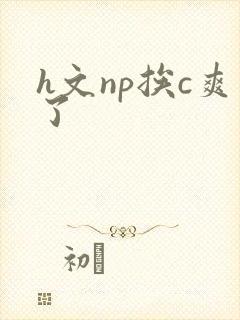 h文np挨c爽了
