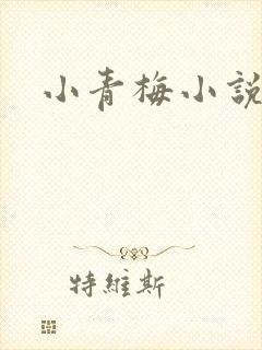 小青梅小说