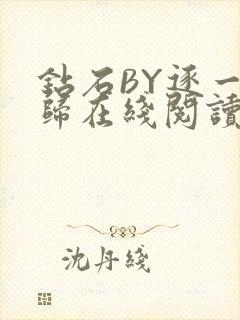 钻石BY逐一而归在线阅读