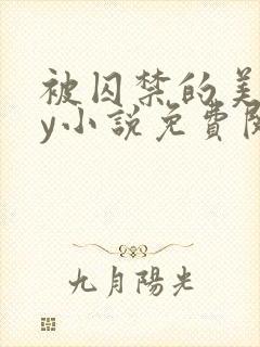 被囚禁的美人by小说免费阅读