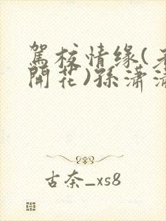 驾校情缘(老树开花)孙潇潇笔趣阁