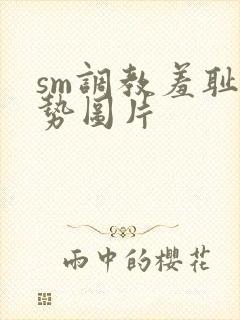 sm调教羞耻姿势图片