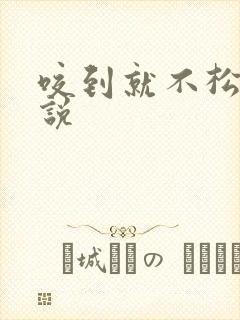 咬到就不松口小说