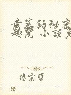 黄蓉的秘密 笔趣阁 小说免费阅读下载封面