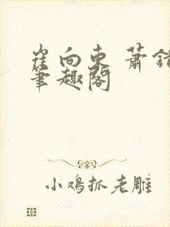 崔向东 萧错 笔趣阁