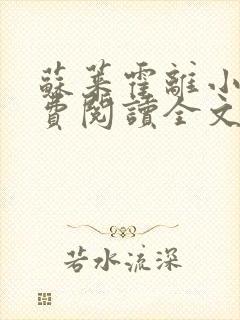 苏莱霍离小说免费阅读全文封面