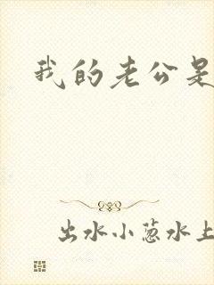 我的老公是军阀