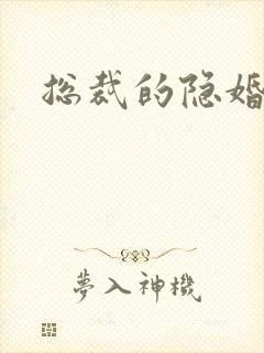 总裁的隐婚新娘封面