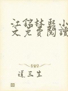 江铭林熙小说全文免费阅读