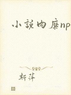 小说肉糜np