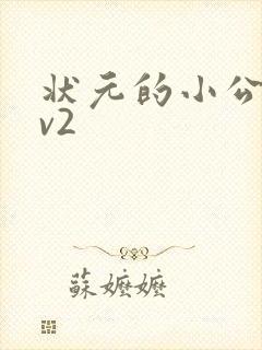 状元的小公主1v2封面