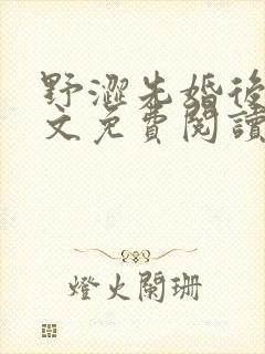 野涩先婚后爱全文免费阅读笔趣阁封面