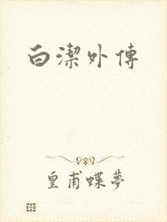 白洁外传封面