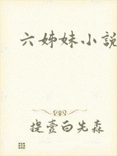 六姊妹小说