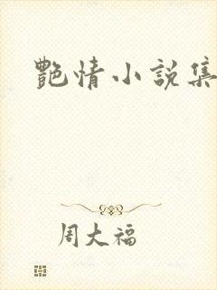 艳情小说集封面