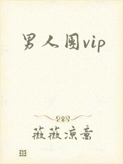 男人团vip